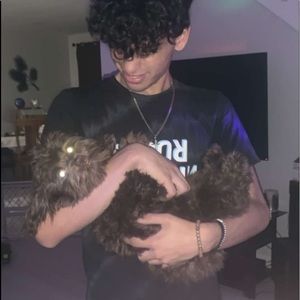 Meet your Posher, Hector